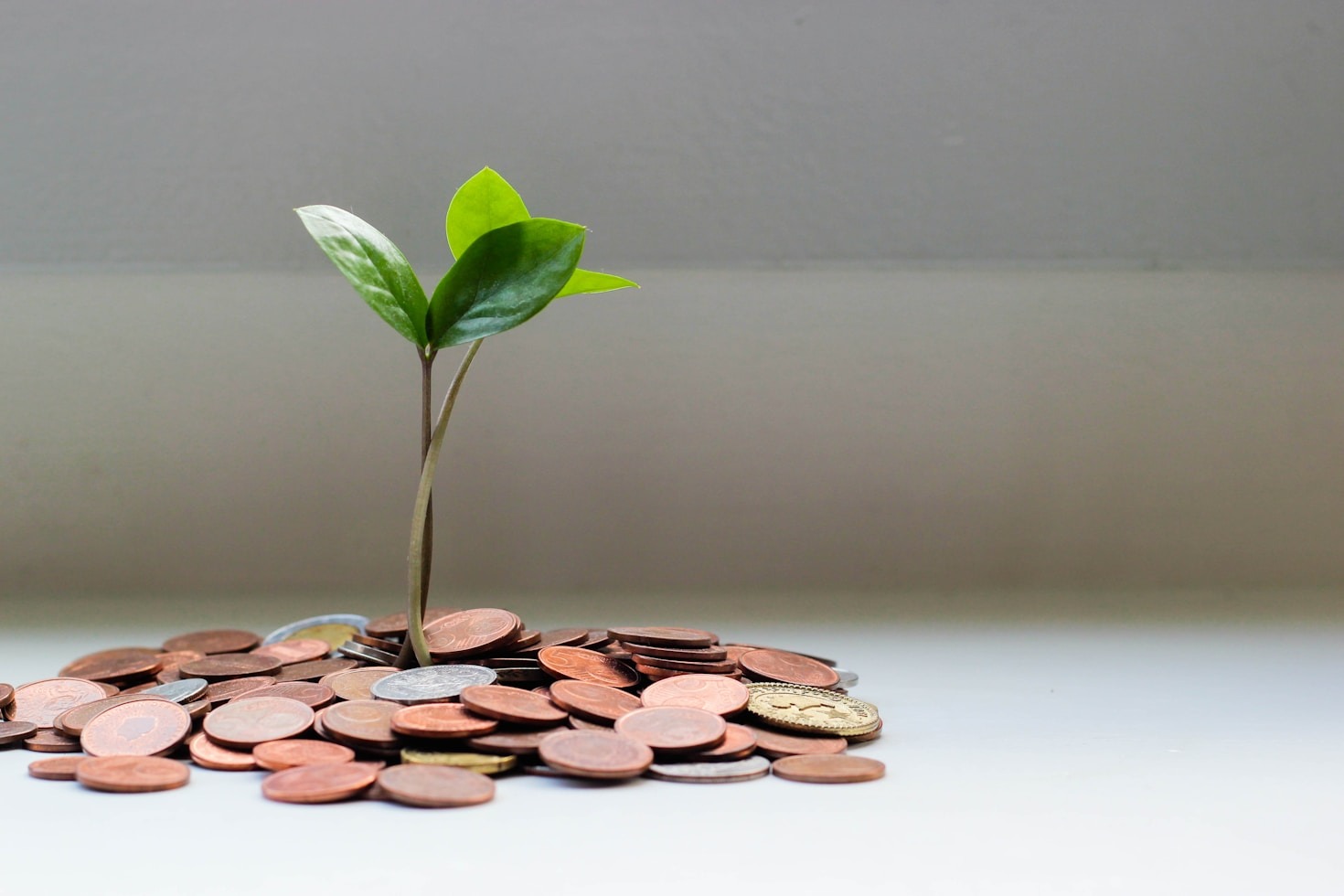 Planejamento Financeiro: O Primeiro Passo para Investir